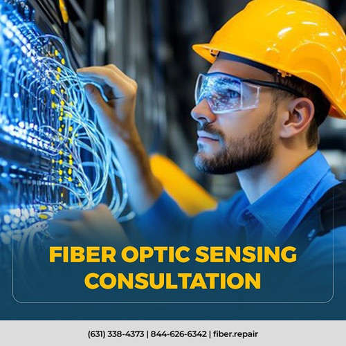 Fiber Optic sensing consultation.jpg