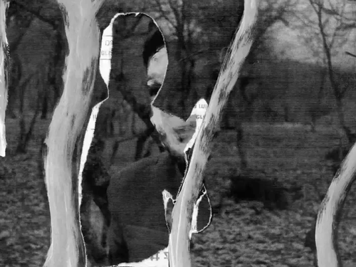 vlcsnap 2025 05 09 13h09m15s856.png