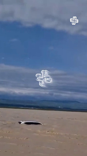 h2CcZvsOR0zi IbY.jpg