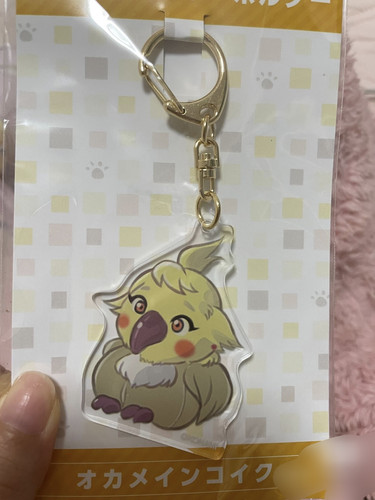 IMG 20250509 191950.jpg