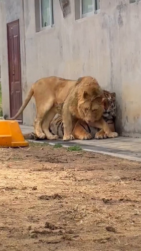 E JaQlvKivZiPkSb.jpg