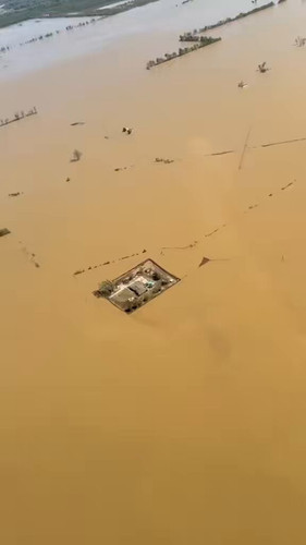 3D9Mz1CaP91 FfTF.jpg