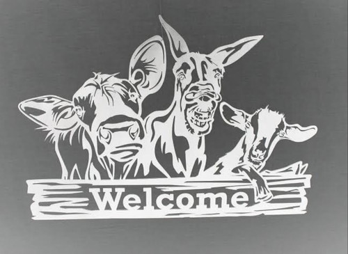 Polish 20250414 103932198.jpg