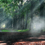 36af2c58 a943 4f41 b94e e2fe1870950e 3384920.gif