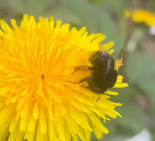 TqNKJeEO8fwDv8V .jpg