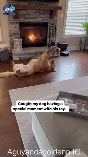 G t0Q39R6F0SSav1.jpg