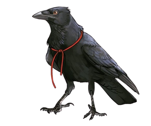 ac36df01951c743a546fcf8c048a2d6a removebg preview.png