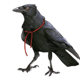 ac36df01951c743a546fcf8c048a2d6a removebg preview