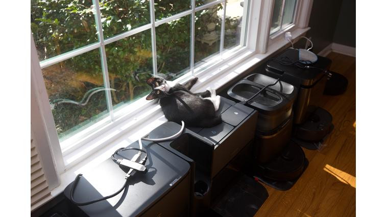 None Robot vacuum testing involves all members of my household.