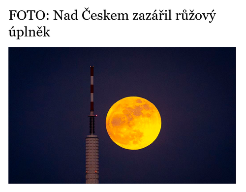 Bez názvu.png