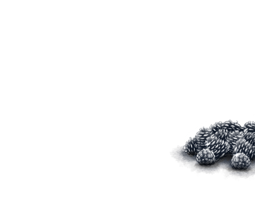 silver cones cd.png