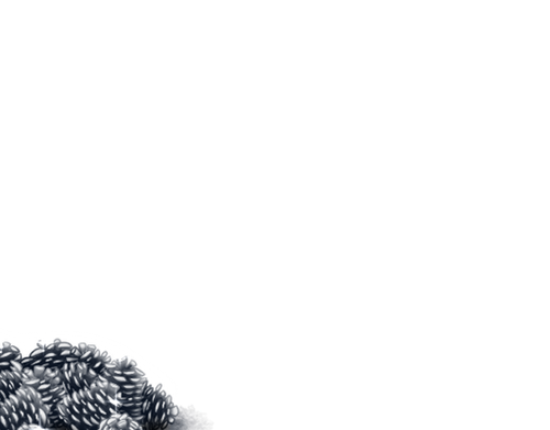 front silver cones cd.png