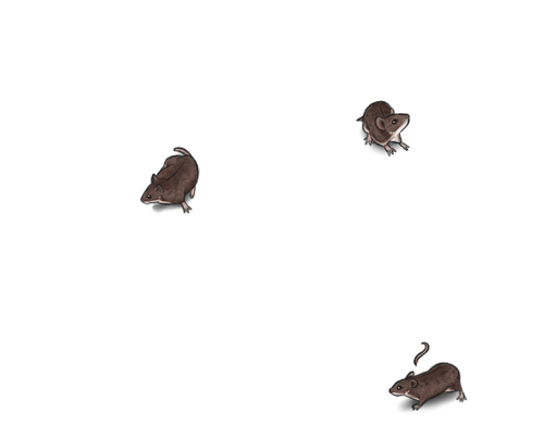 natural mice cd sentinel.png