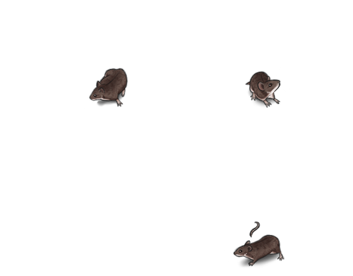 natural mice cd default.png