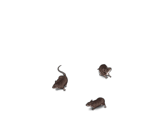 natural mice cd motherly.png