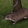 natural mice cd icon.png
