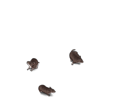 natural mice cd relaxed.png