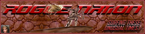Surfer Banner.jpg