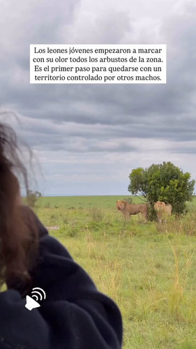 Fzw0Tv3oGawEJUvn.jpg