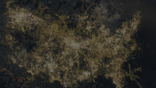 The Last of Us S02E01 [MAX WEB DL 2160p HEVC DV HDR10 ES DD+ 5.1 Atmos Subs][HDO].mkv snapshot 05.20.png