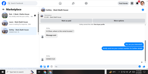 ashley.png