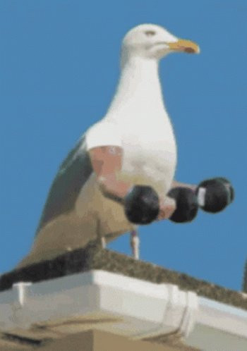 GoZQWwkW4AAawTn.jpg
