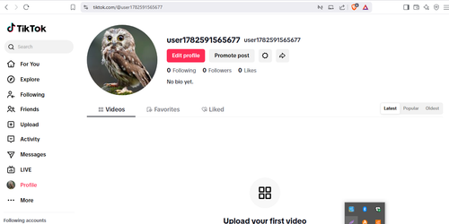 Screenshot 5.png