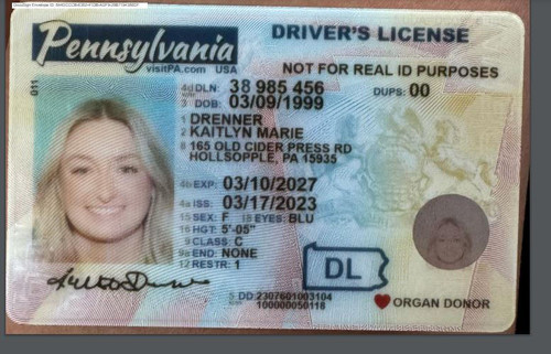 Kaitlyn Marie Drenner license image.jpg