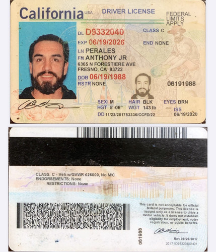 Anthony Perales license image.jpg