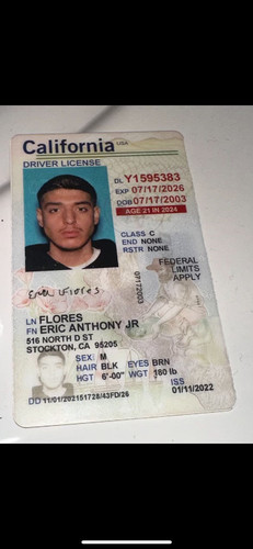 Eric Anthony Flores license image.jpg