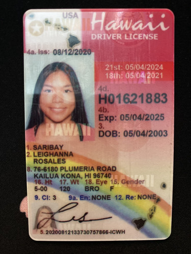 Leighanna Rosales Saribay license image.jpg