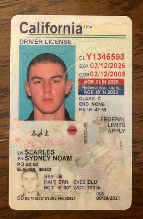 Sydney Noam Searles license image.jpg