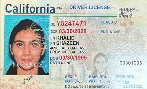 Shazeen Khalid license image.jpg