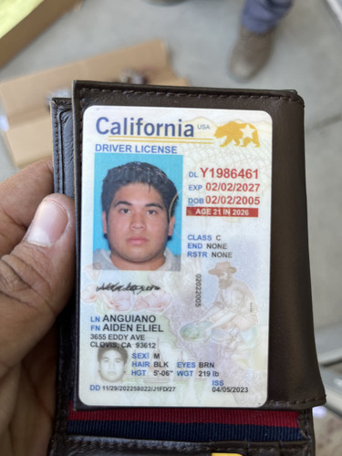 Aiden Eliel Anguiano license image.jpg