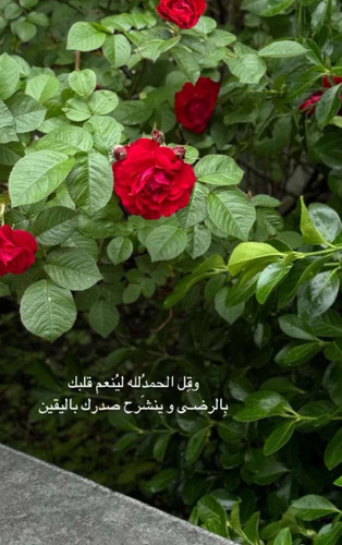 GoYid IXoAA9dYb.jpg
