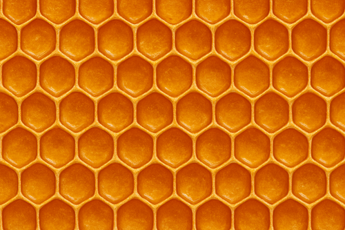 ChatGPT Image Apr 13, 2025, 01 12 18 PM.png