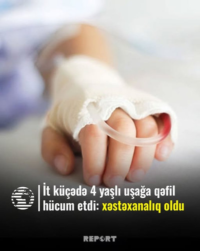 491293634 975944041413651 8977972884277574300 n.jpg?stp=dst jpg s640x640 tt6& nc cat=103&ccb=1 7& nc.jpg