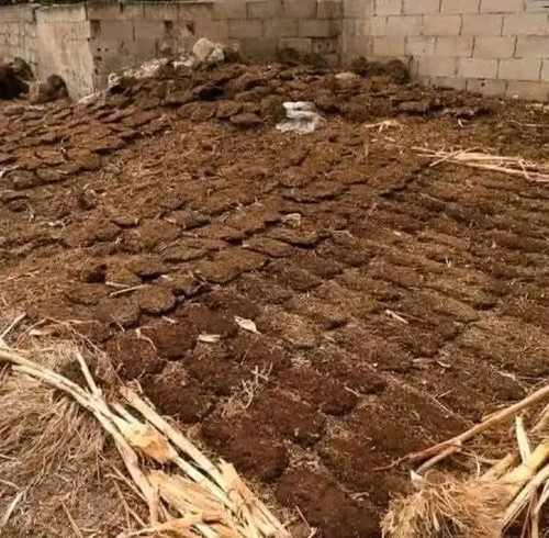 FB IMG 1744562392884.jpg