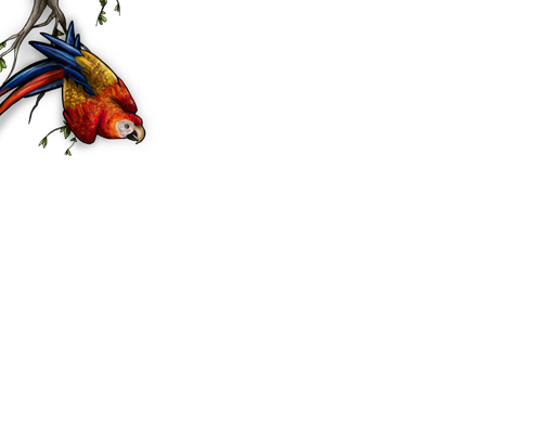 IMG 9148.png