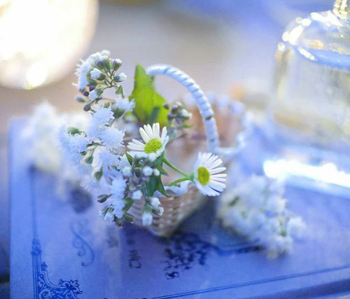 GoYD9yYWAAAStON.jpg
