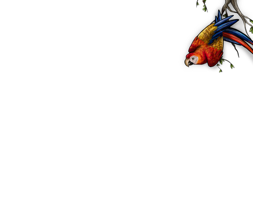 IMG 9158.png