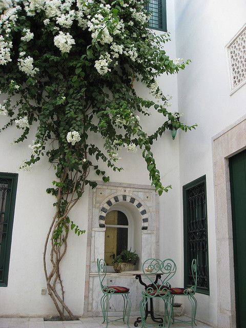 Tunis Courtyard with White Bougainvillea.jpg