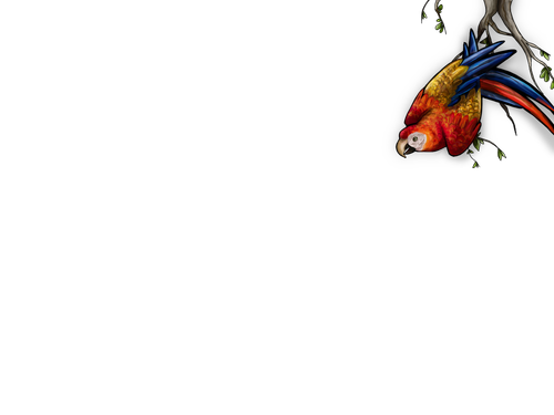IMG 9146.png