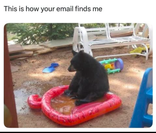 Animal meme 61.png