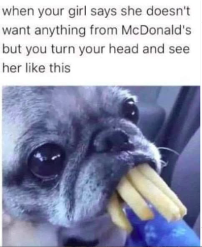 Animal meme 63.png