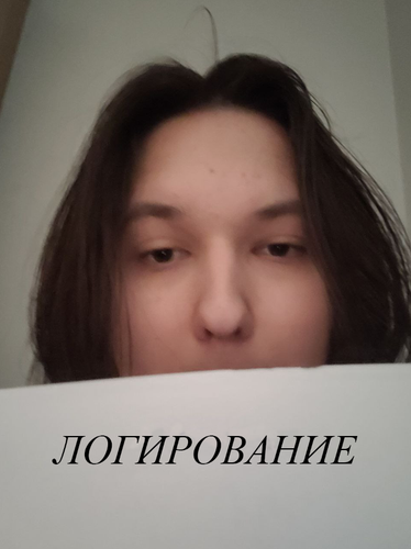 log.png
