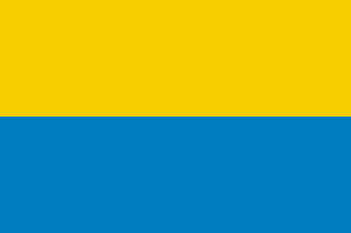 Flag.png