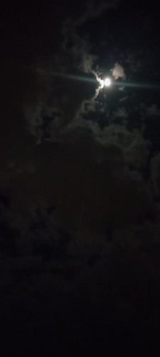 IMG 20250409 232323.jpg
