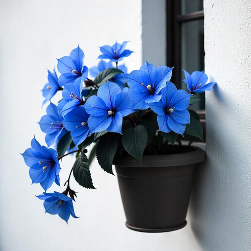 freepik the style is candid image photography with natural 27498.jpg