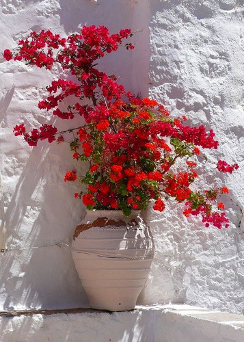 Patmos island Greece.jpg